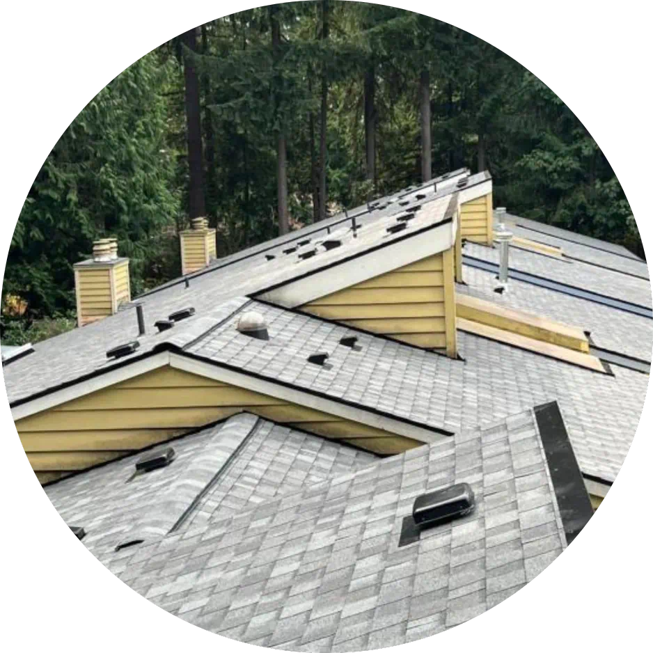 residential house with asphalt roof shingles icon